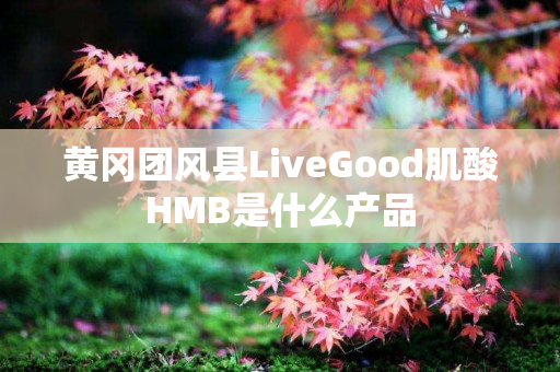 黄冈团风县LiveGood肌酸HMB是什么产品