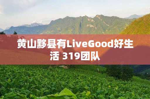 黄山黟县有LiveGood好生活 319团队