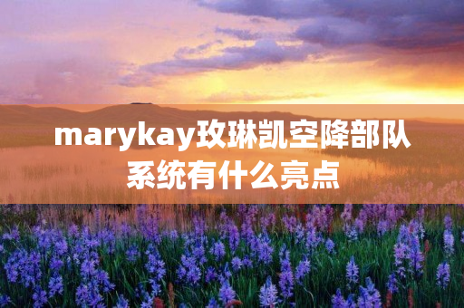 marykay玫琳凯空降部队系统有什么亮点