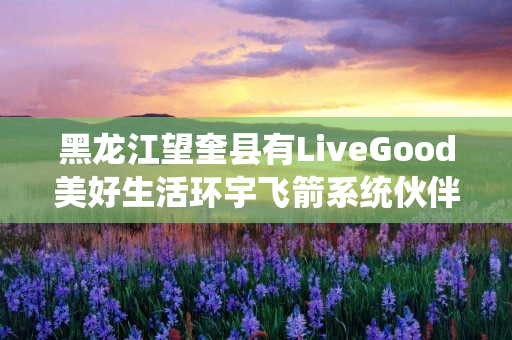 黑龙江望奎县有LiveGood美好生活环宇飞箭系统伙伴吗