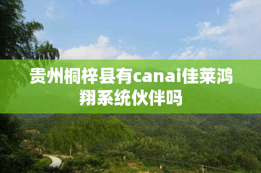 贵州桐梓县有canai佳莱鸿翔系统伙伴吗