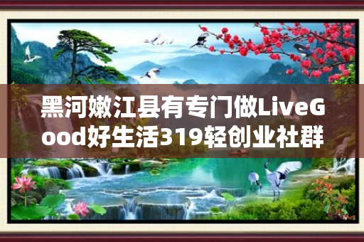 黑河嫩江县有专门做LiveGood好生活319轻创业社群的伙伴吗