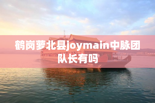 鹤岗萝北县joymain中脉团队长有吗