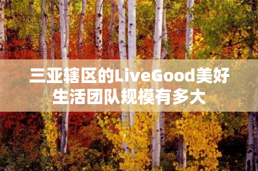 三亚辖区的LiveGood美好生活团队规模有多大