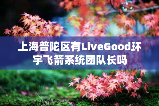 上海普陀区有LiveGood环宇飞箭系统团队长吗