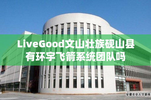 LiveGood文山壮族砚山县有环宇飞箭系统团队吗