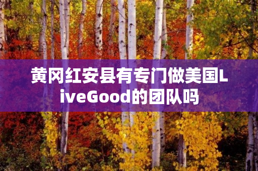 黄冈红安县有专门做美国LiveGood的团队吗