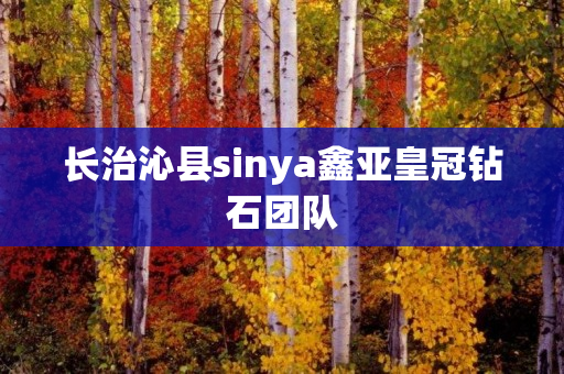 长治沁县sinya鑫亚皇冠钻石团队