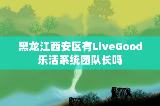 黑龙江西安区有LiveGood乐活系统团队长吗